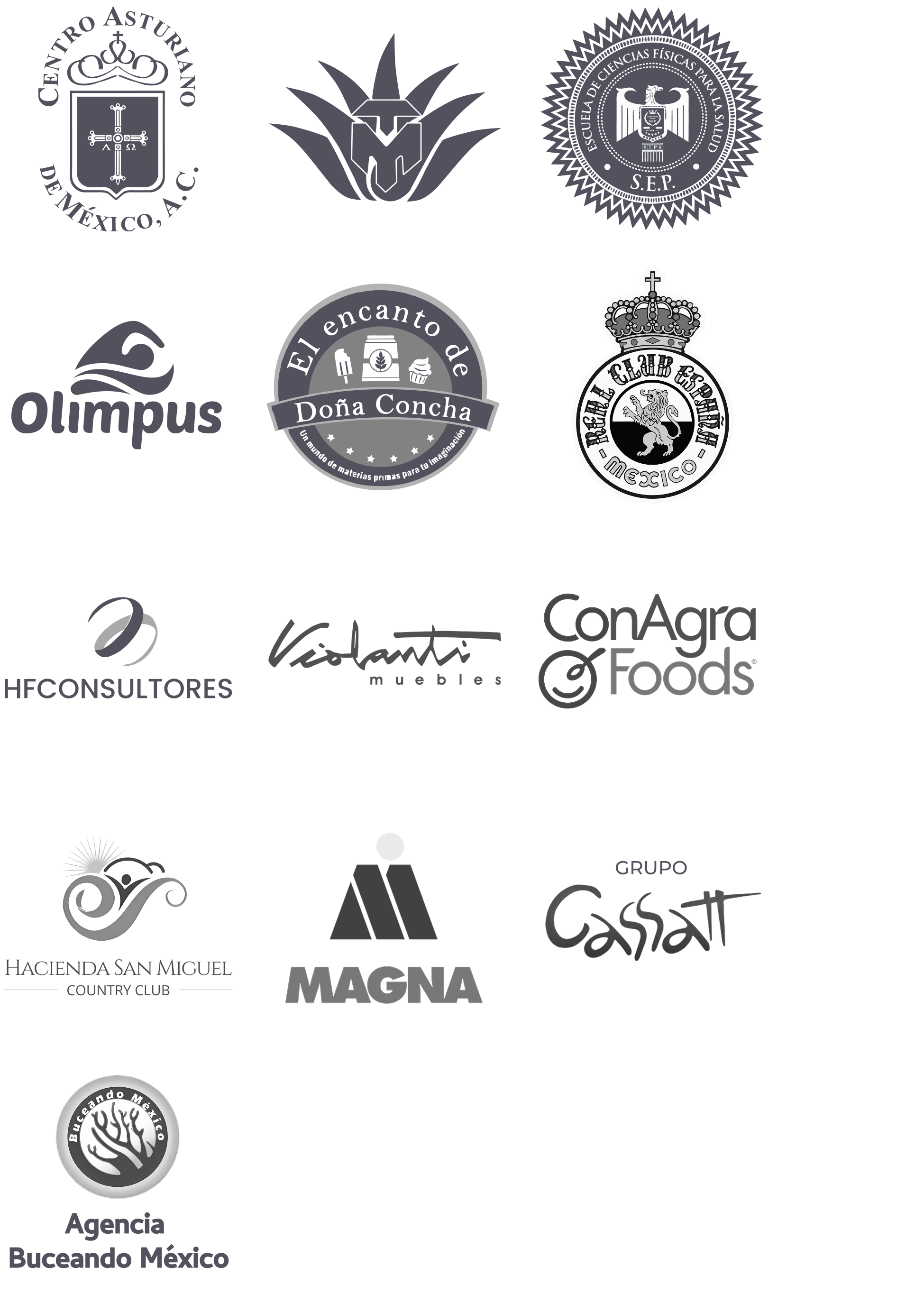 Clientes Four Sides Group: Centro Asturiano de México, MAGNA, ConAgra Foods, SEP, Olimpus, Real Club España, Hacienda San Miguel Country Club, El Encanto de Doña Concha, HFConsultores, Violanti Muebles, Grupo Cassatt, Agencia Buceando México