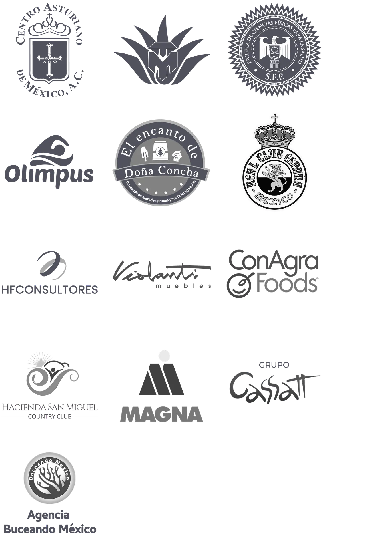 Clientes Four Sides Group: Centro Asturiano de México, MAGNA, ConAgra Foods, SEP, Olimpus, Real Club España, Hacienda San Miguel Country Club, El Encanto de Doña Concha, HFConsultores, Violanti Muebles, Grupo Cassatt, Agencia Buceando México