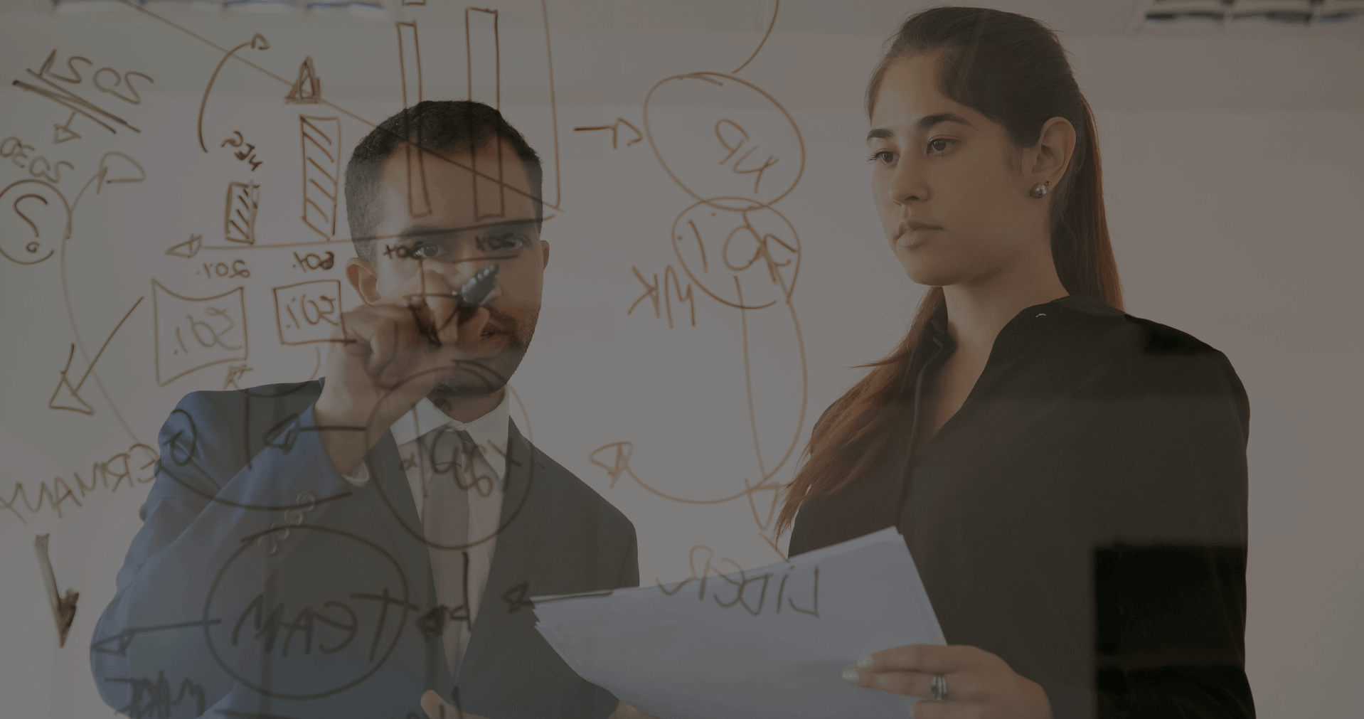 Servicios relacionados con rescate de proyectos