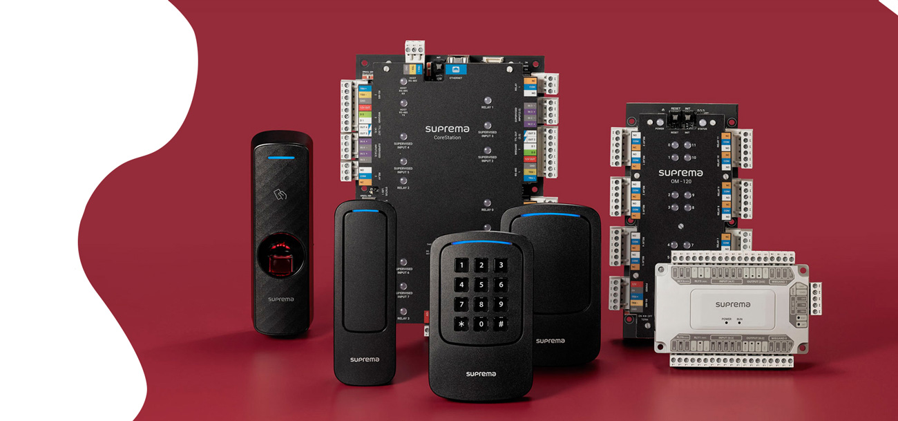 Fábrica de software profesional en México